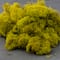 12 Pack: SuperMoss® Preserved Chartreuse Reindeer Moss